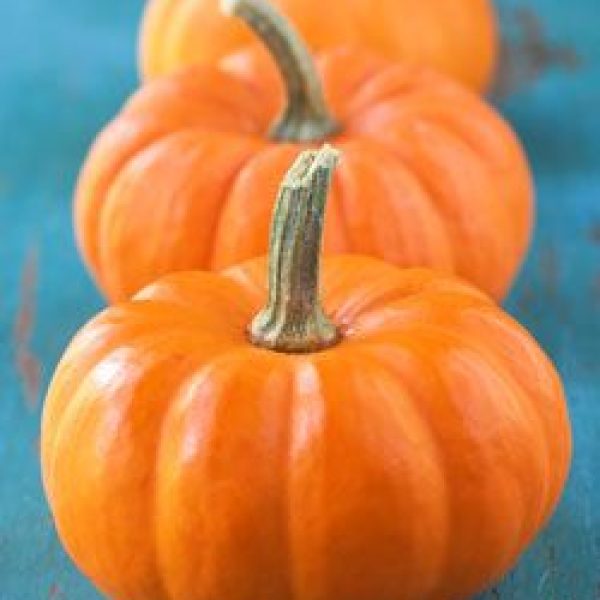 I’m Obsessed With Pumpkin And You Should Be, Too