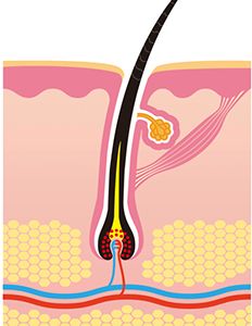 Finally, the Truth About "Scab Hair" | NaturallyCurly