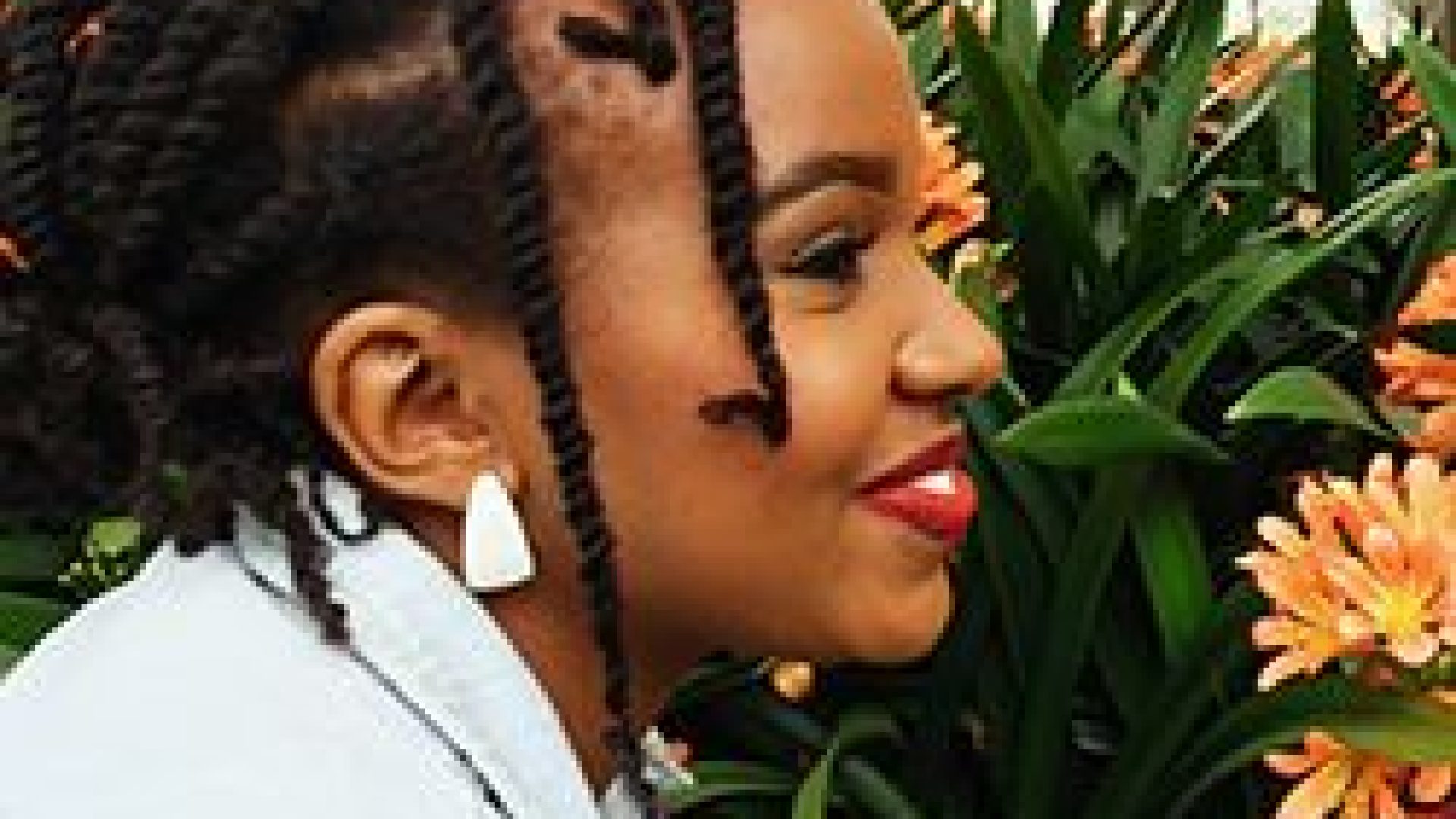 The 5 Basic Types of Ingredients in Your Products