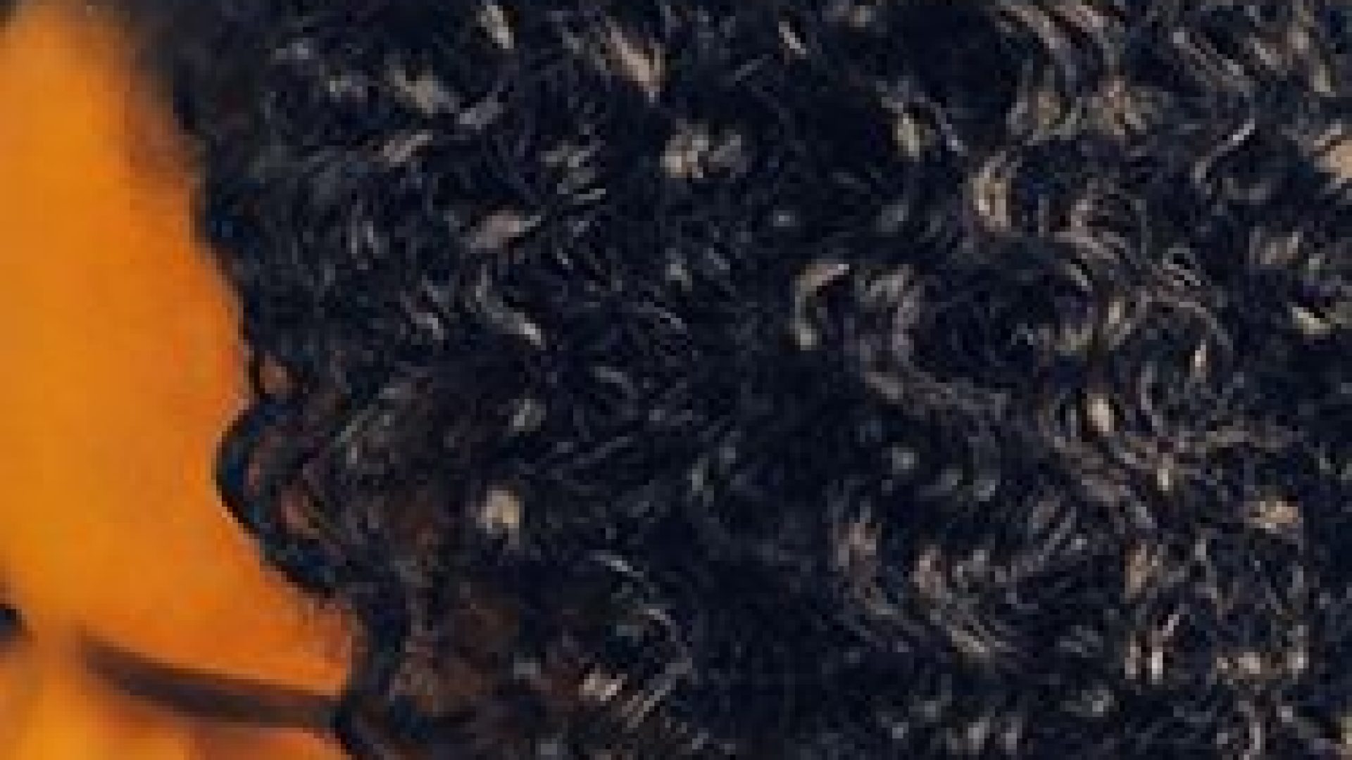 Why I Chose To Transition Instead Of Doing The Big Chop