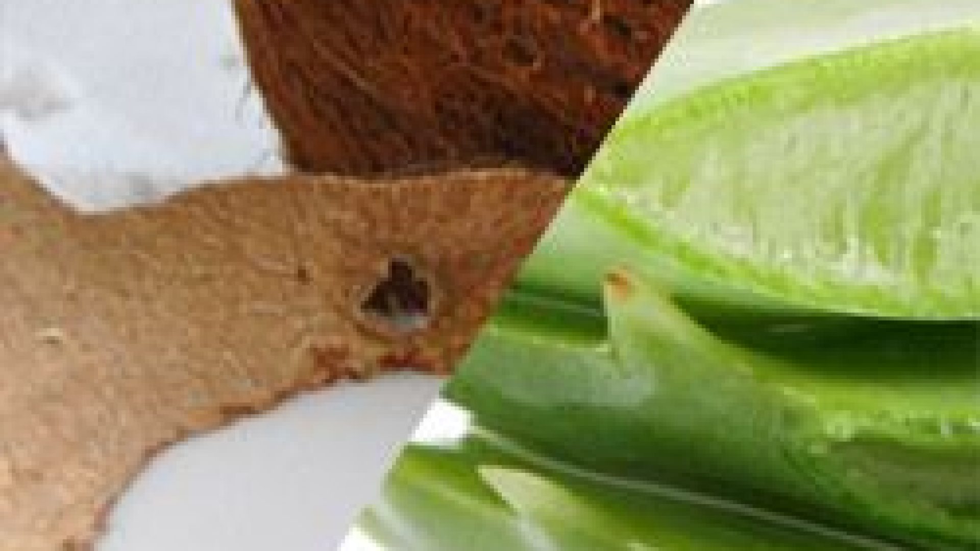 3 Easiest Curly Cocktail Recipes for Beginners