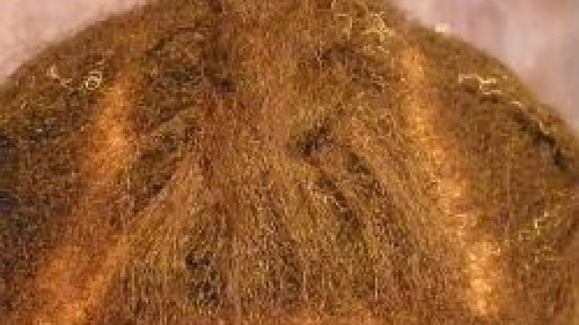 Do LaceFront Wigs Damage Natural Hair?