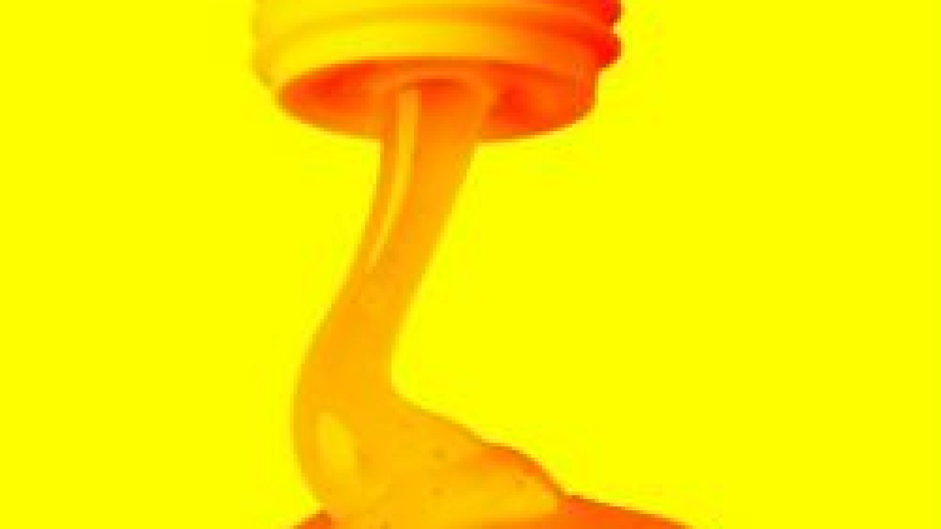 4 Ingredients That Make Your Conditioner The Perfect Detangler