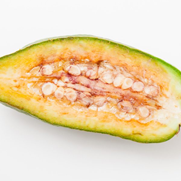 How to Make Your Own Baobab Hair Treatment