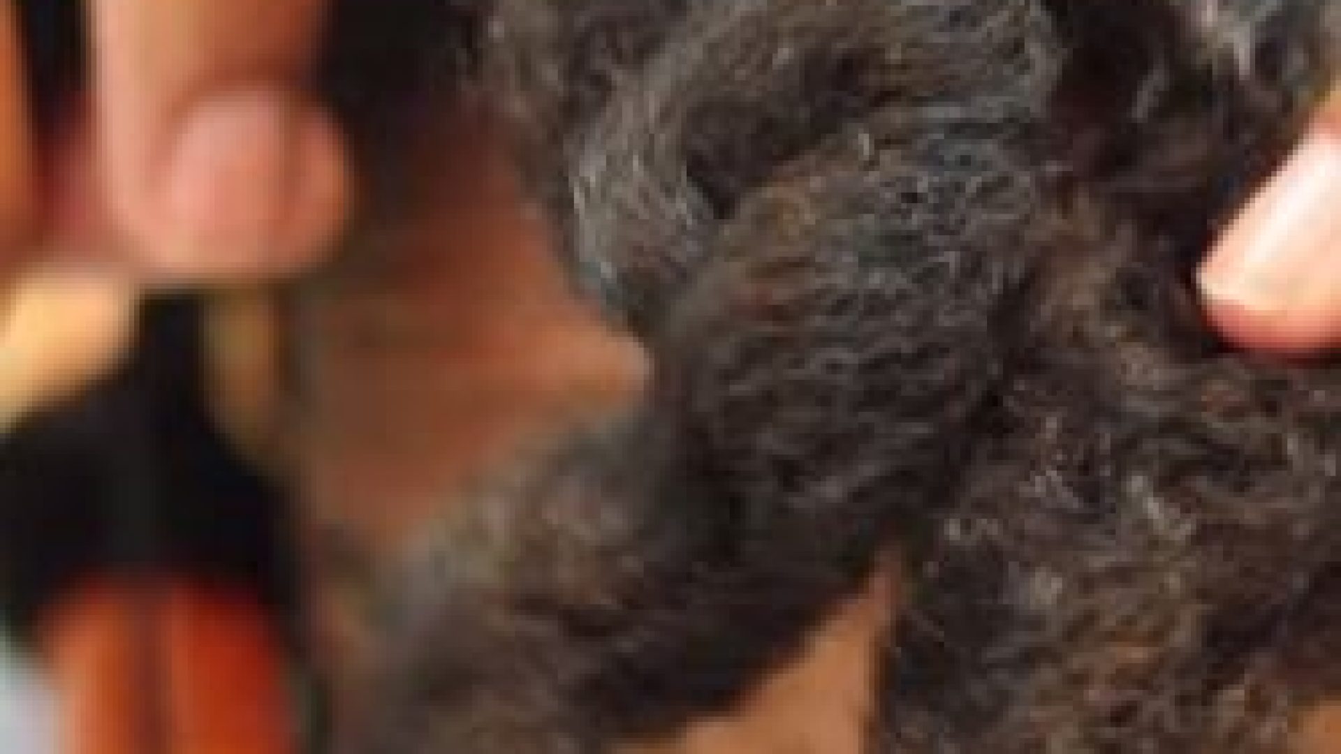 3 Video Tutorials To Help You Achieve Next Level Curl Definition