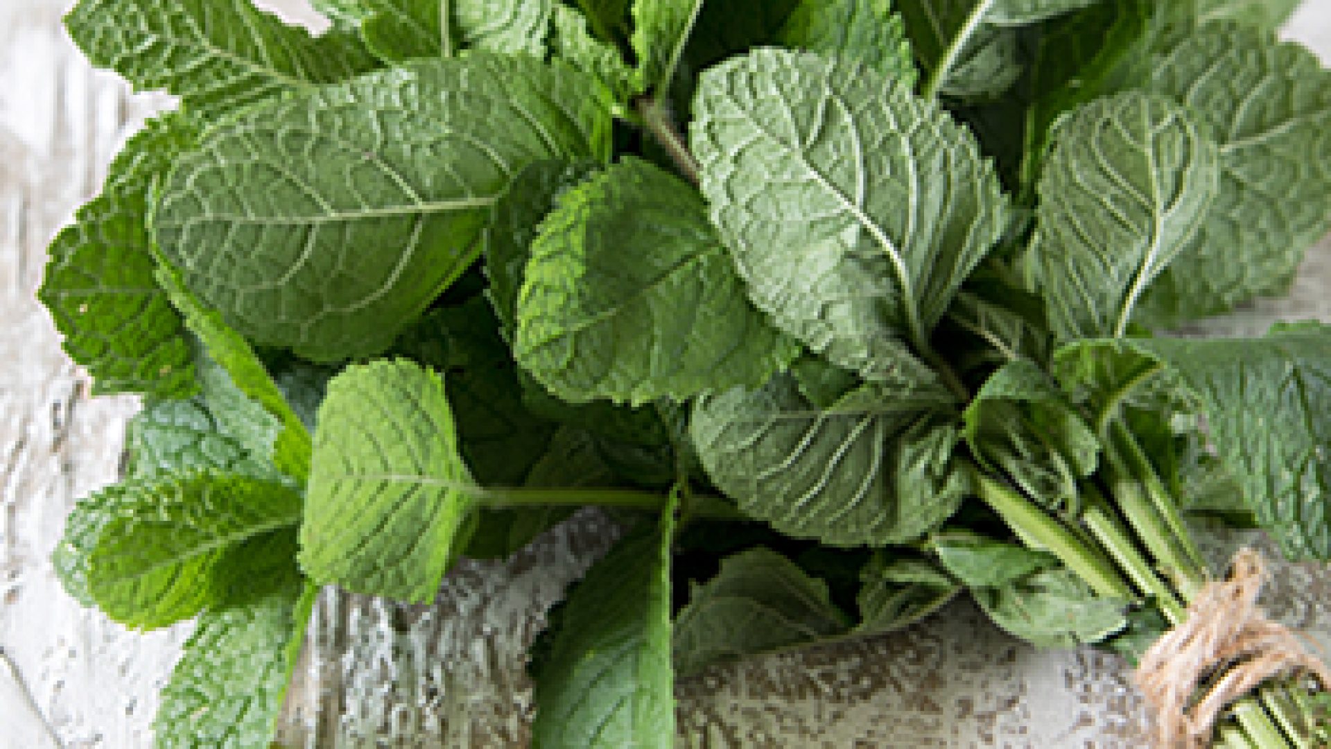 Top 5 Hair and Body Products Containing Mint